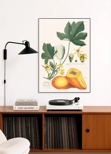 Papaya
