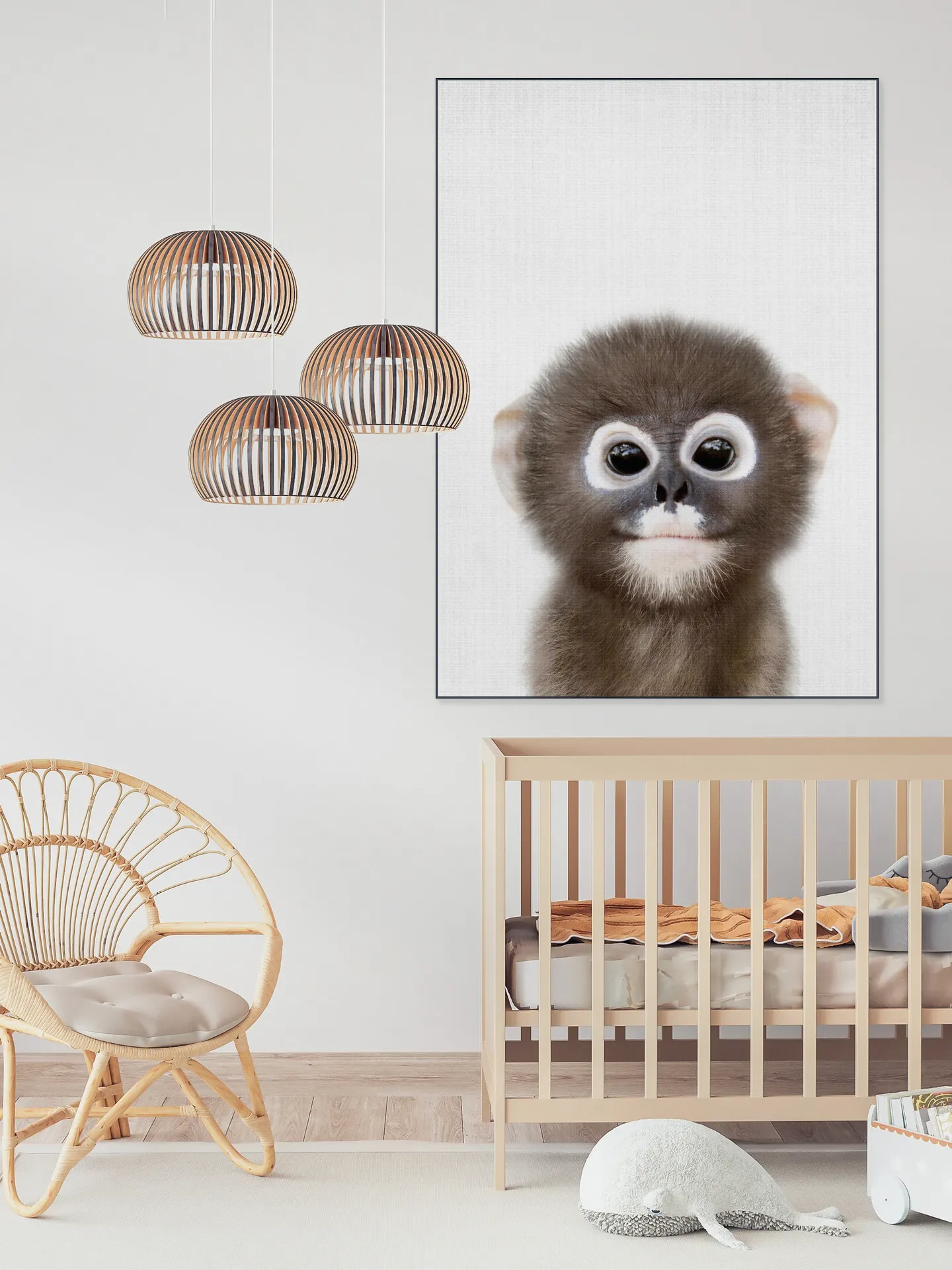 Baby Monkey