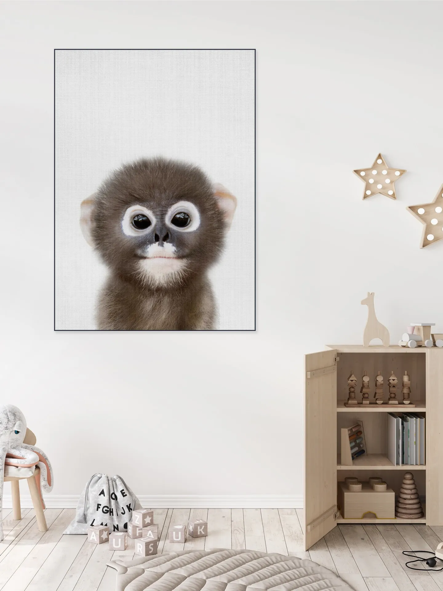 Baby Monkey