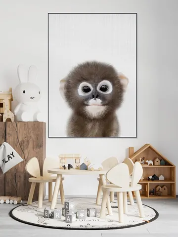 Baby Monkey