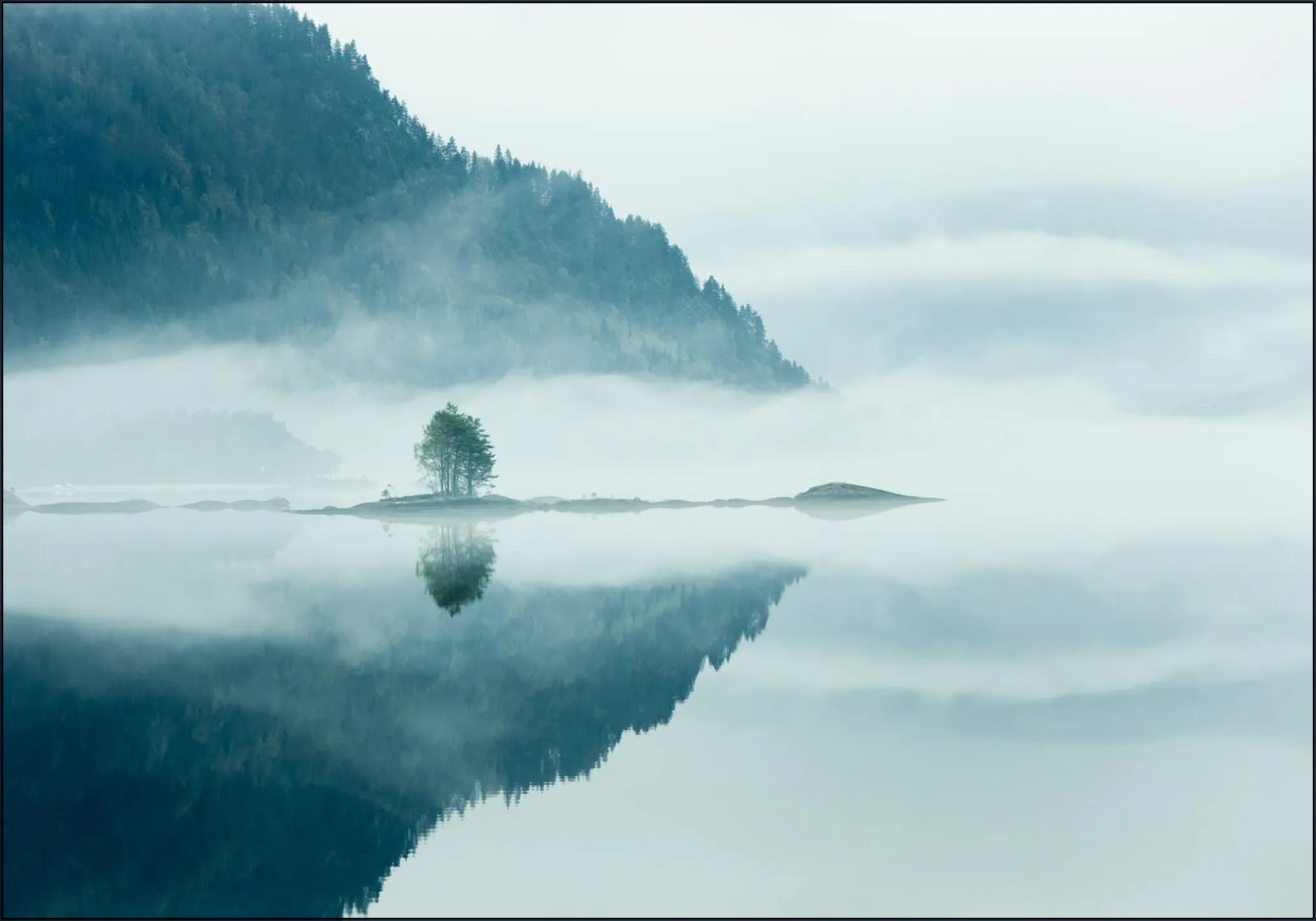 Mirror Calm Lake With Lone Tree In Mist