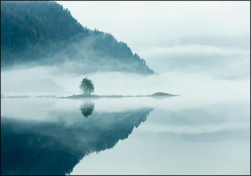 Mirror Calm Lake With Lone Tree In Mist
