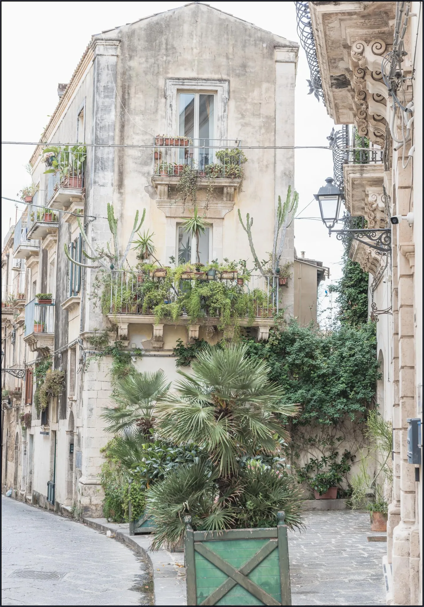 Botanical Street Scene
