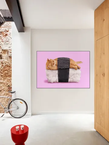 Sushi Cat