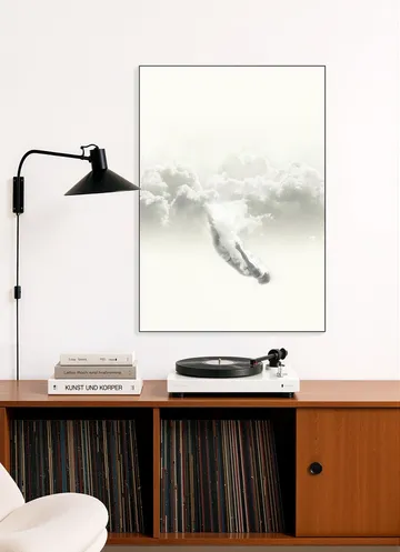 Sky Diver