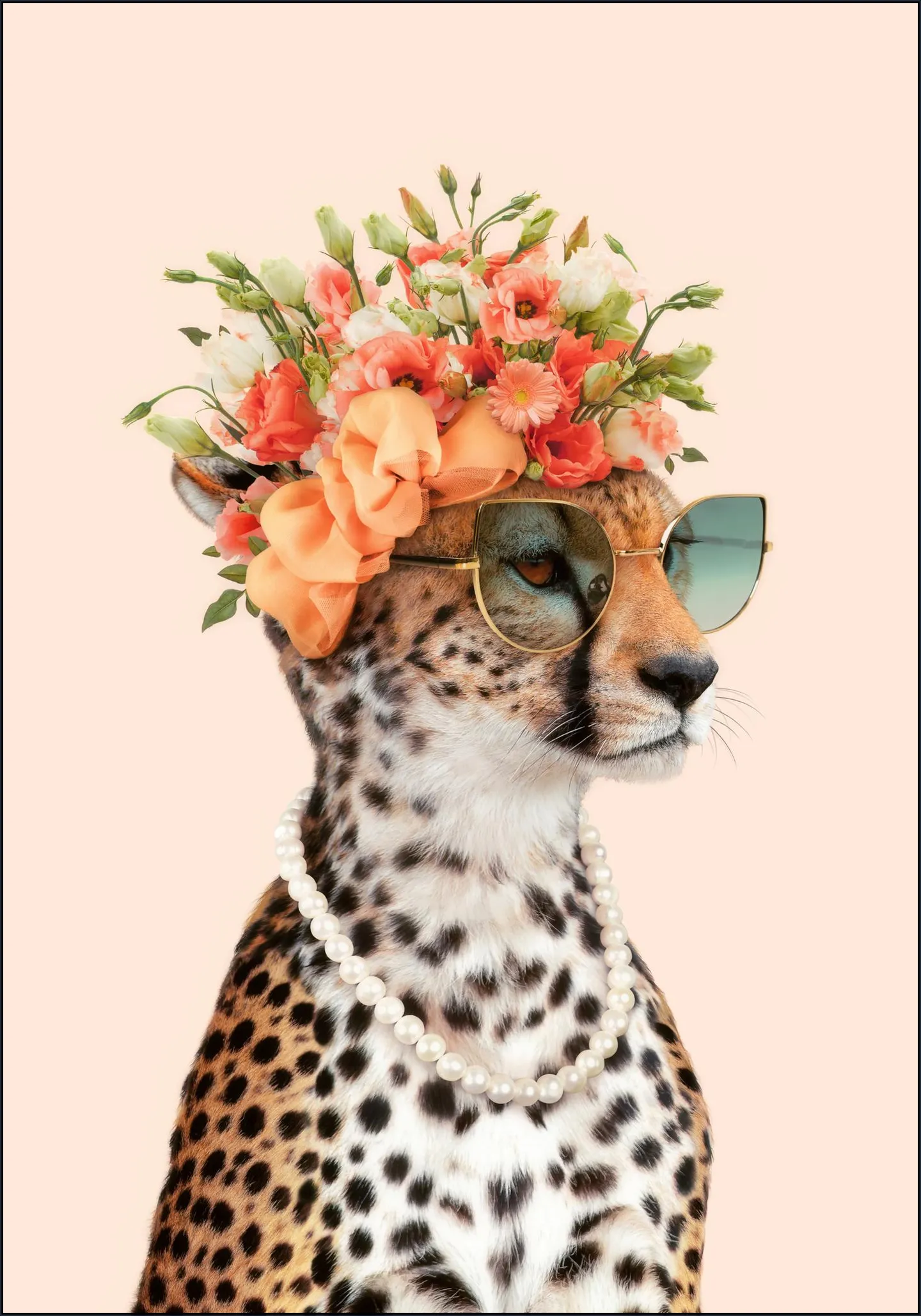 Royal Cheetah