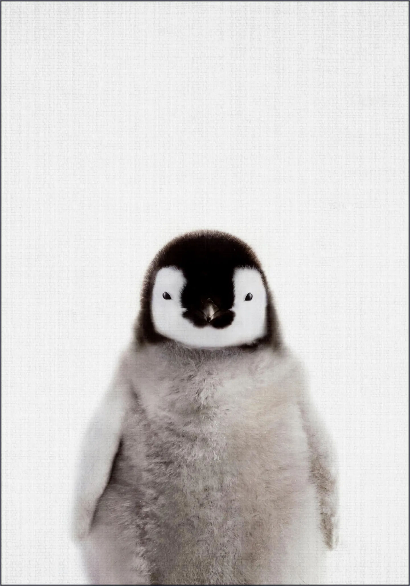 Print 362 Pinguin