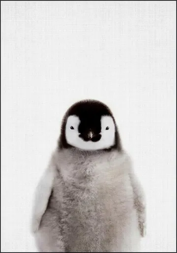 Print 362 Pinguin