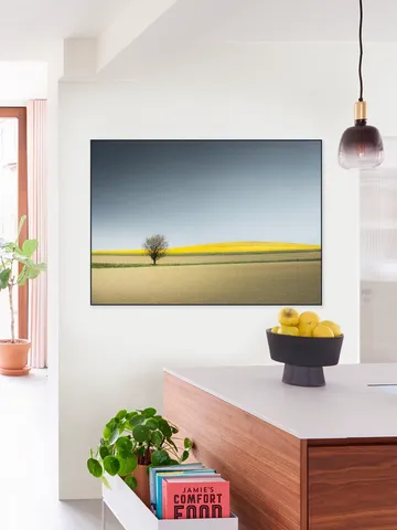 Lone Tree in Spring Light