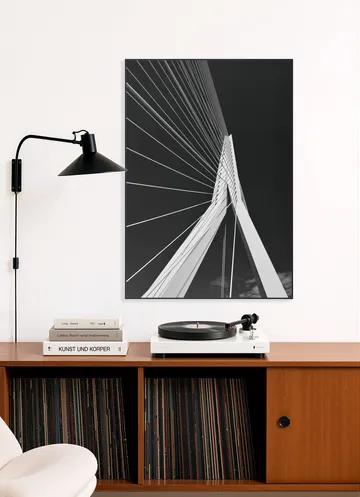 Erasmus Bridge