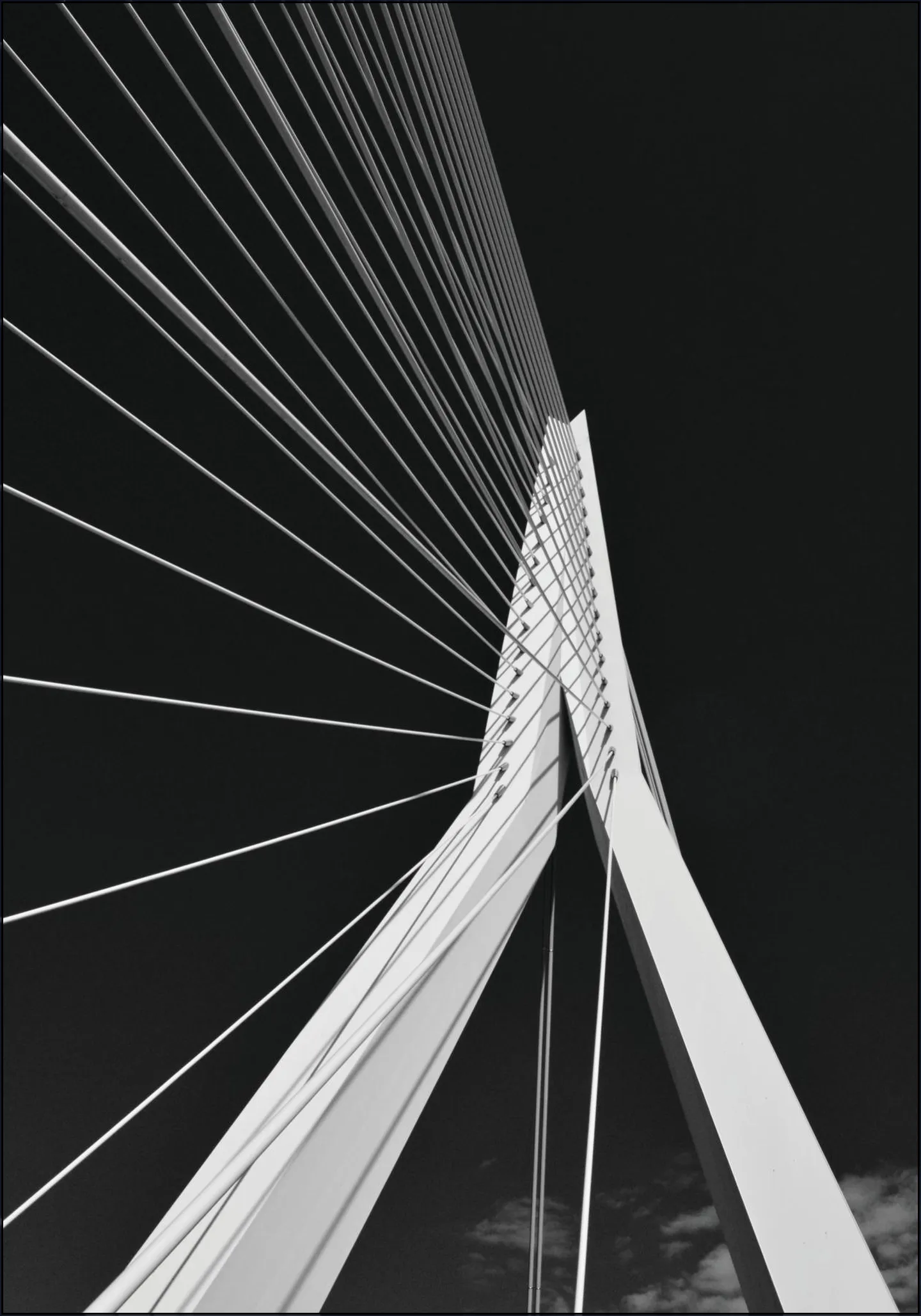Erasmus Bridge