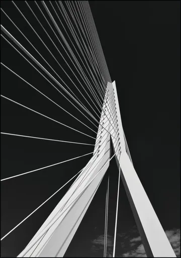 Erasmus Bridge