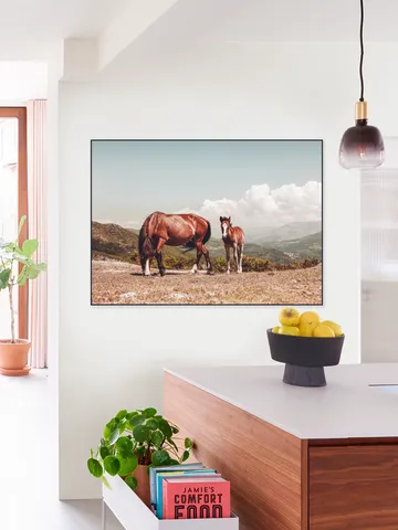 Wild Horses