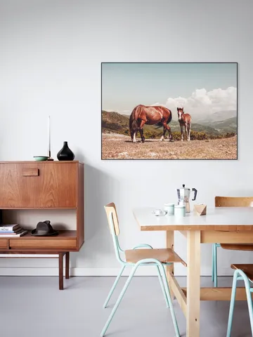 Wild Horses