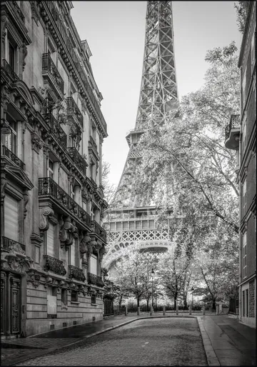 Rue de l'Université with Eiffel Tower, Paris, France