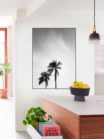 Palms In The Middle East