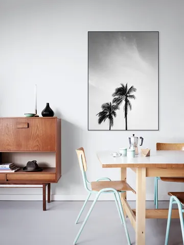 Palms In The Middle East