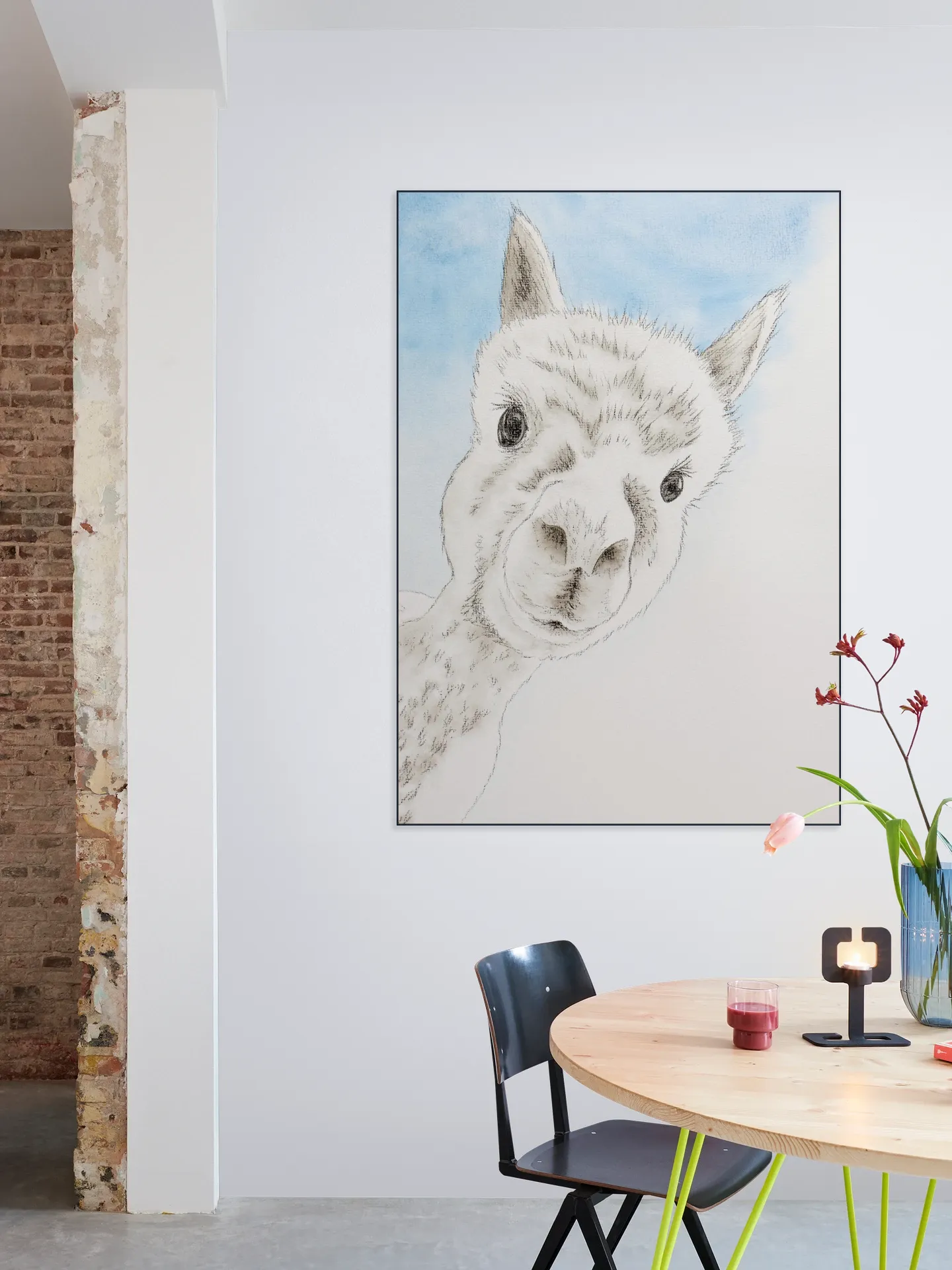 Curious Alpaca