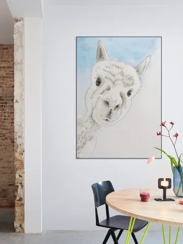 Curious Alpaca
