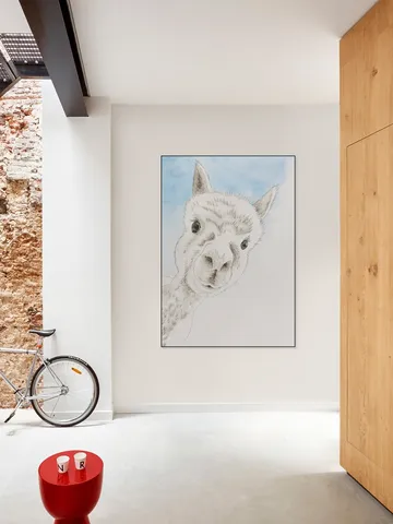 Curious Alpaca