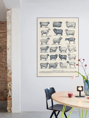 Representative Types of Sheep