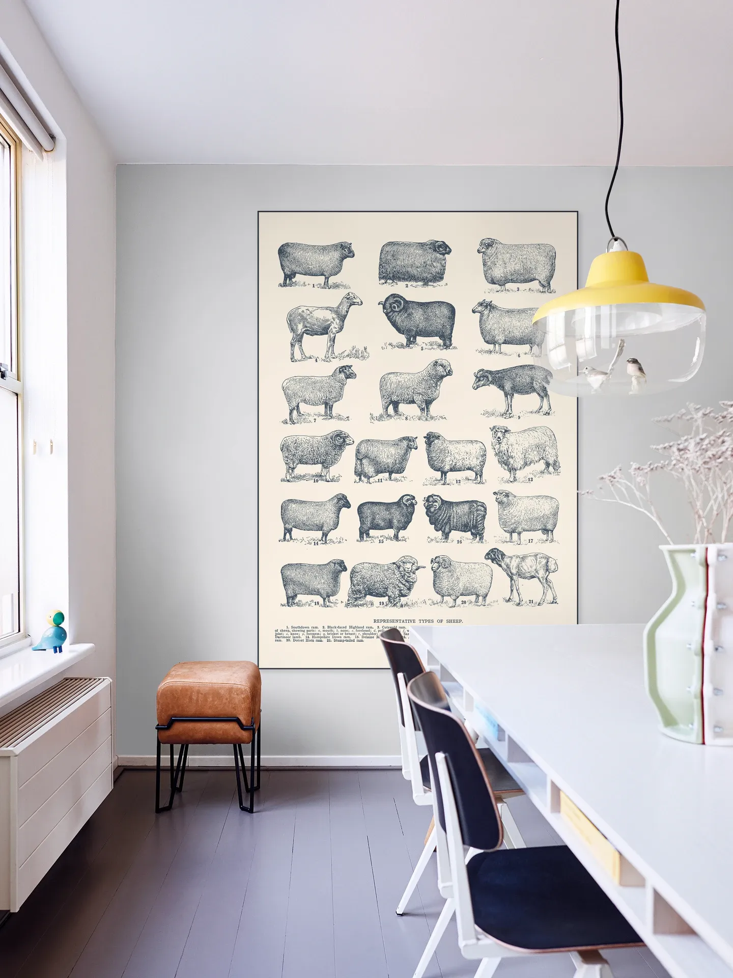 Representative Types of Sheep
