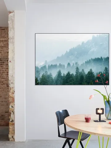 Foggy Evergreen Forest In The Mountains