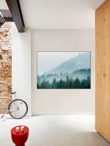 Foggy Evergreen Forest In The Mountains