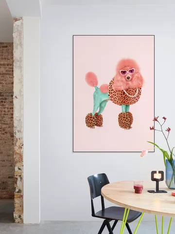 Funky Poodle