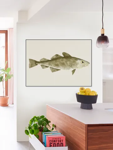 Codfish