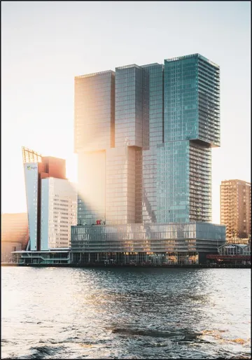 The Rotterdam
