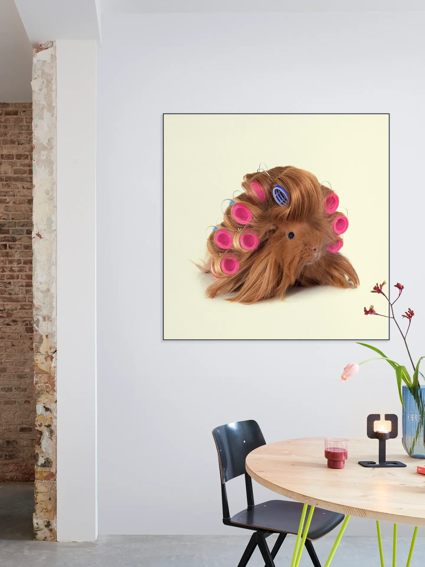 Hairy Guinea Pig