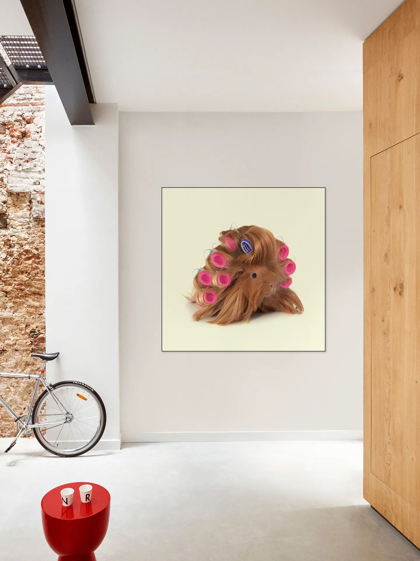 Hairy Guinea Pig