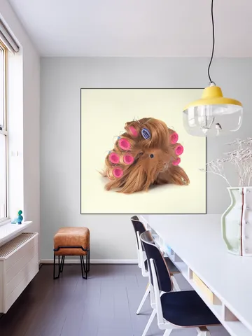 Hairy Guinea Pig