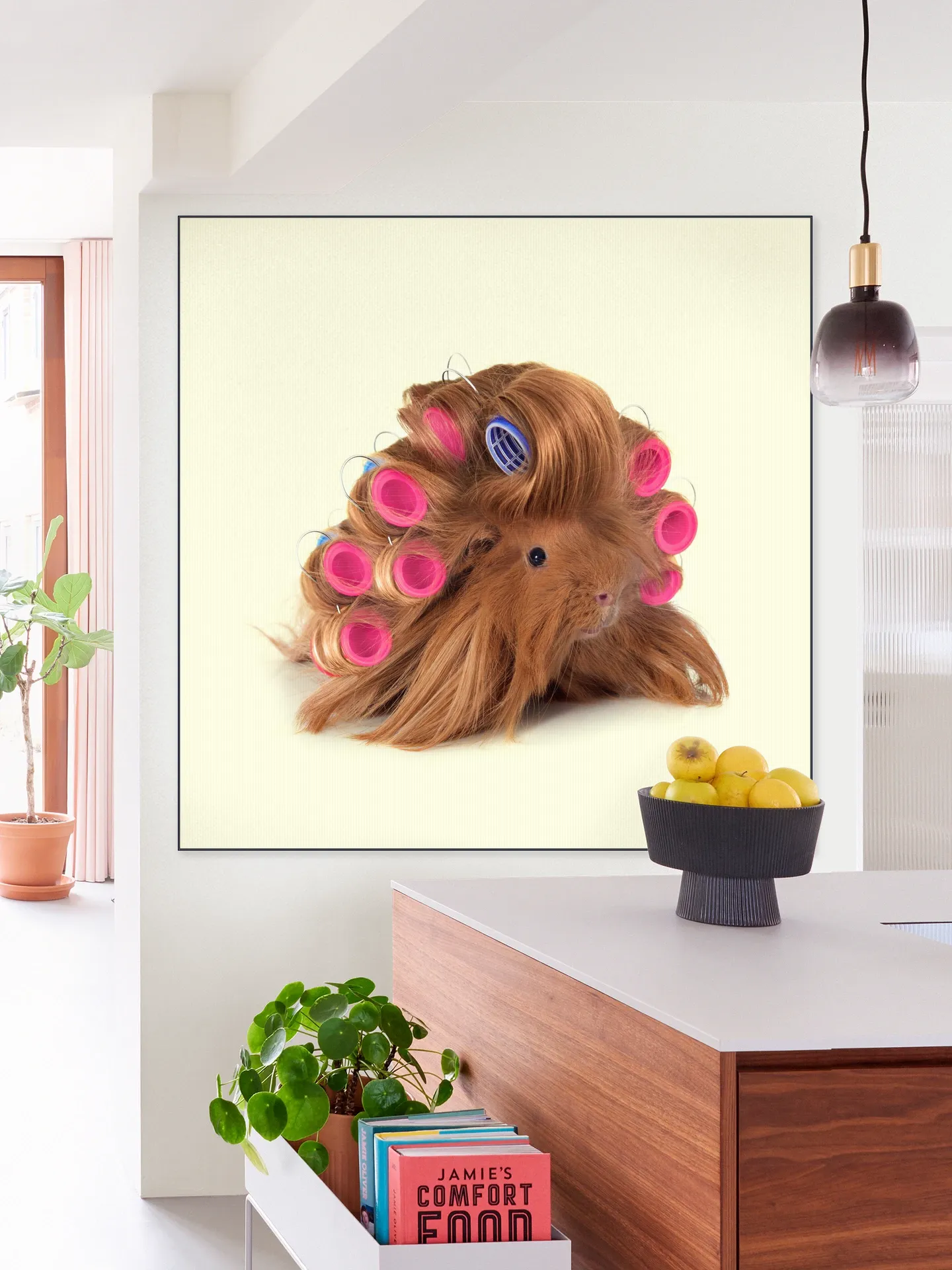 Hairy Guinea Pig