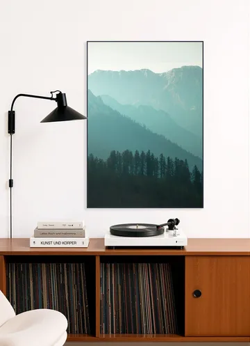 Soft Morning Light Over Alpine Pines