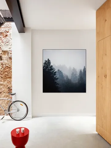 Woods 7
