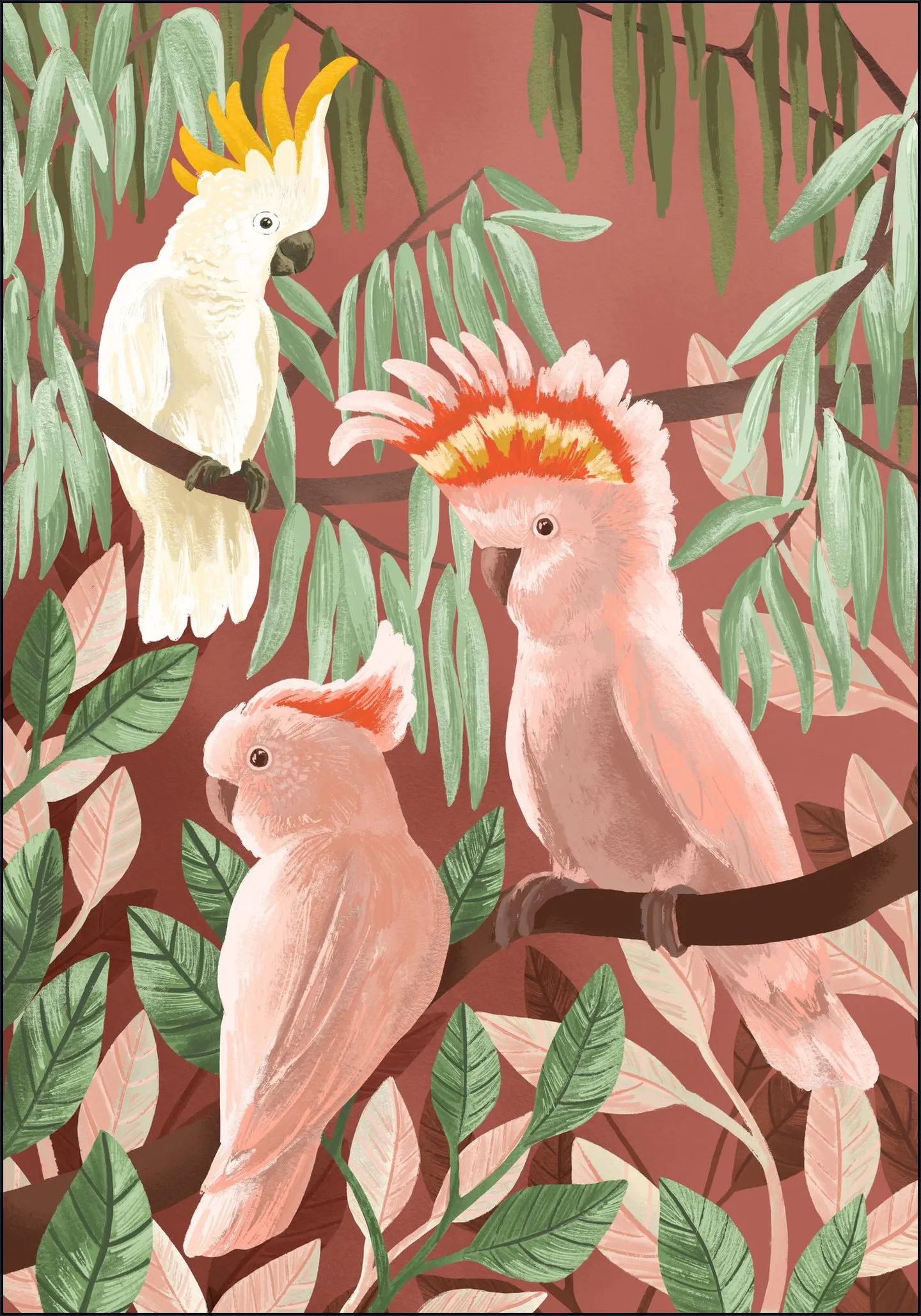 Cockatoos