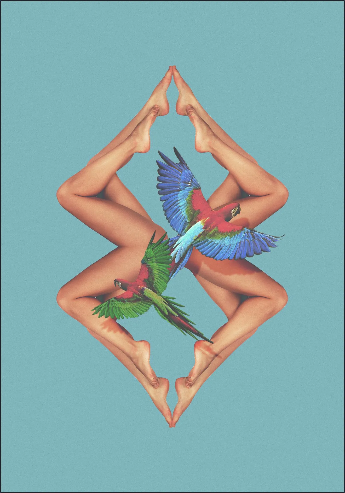 Bodies