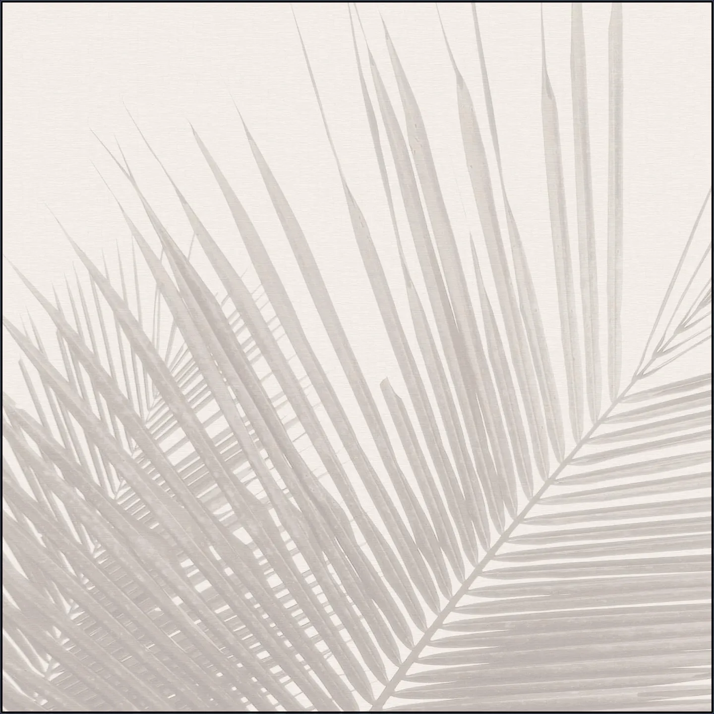 Neutral Tropical palm leaves