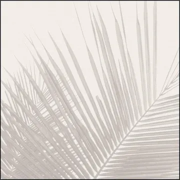 Neutral Tropical palm leaves