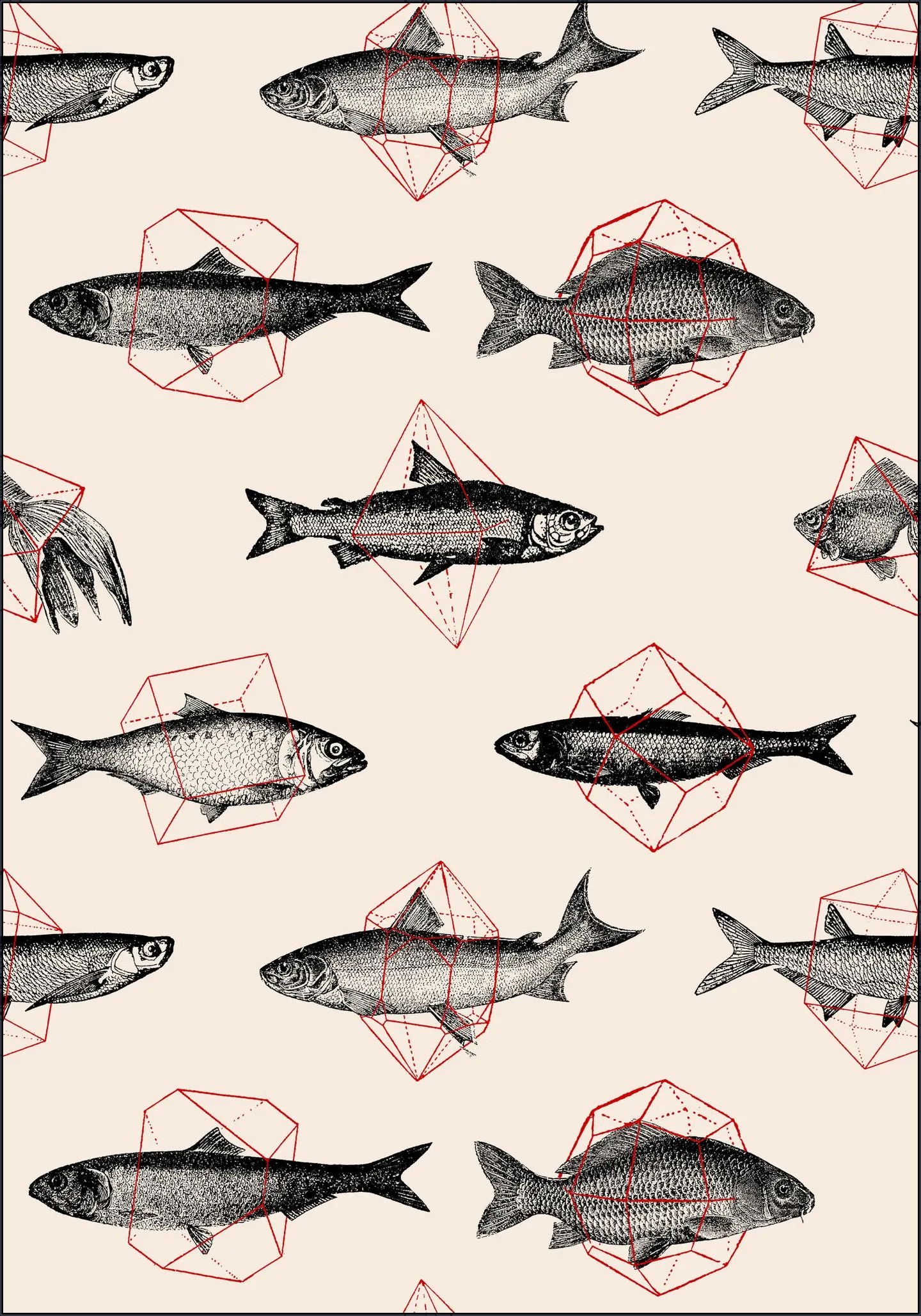 Fishes in Geometrics