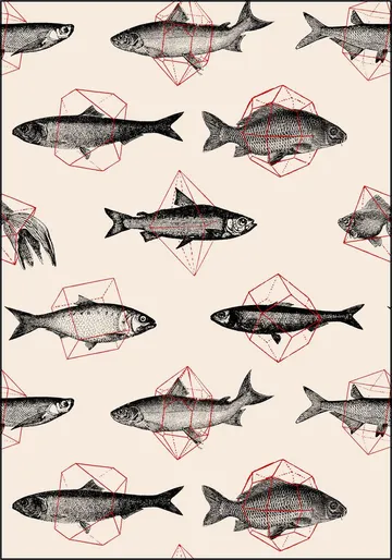 Fishes in Geometrics