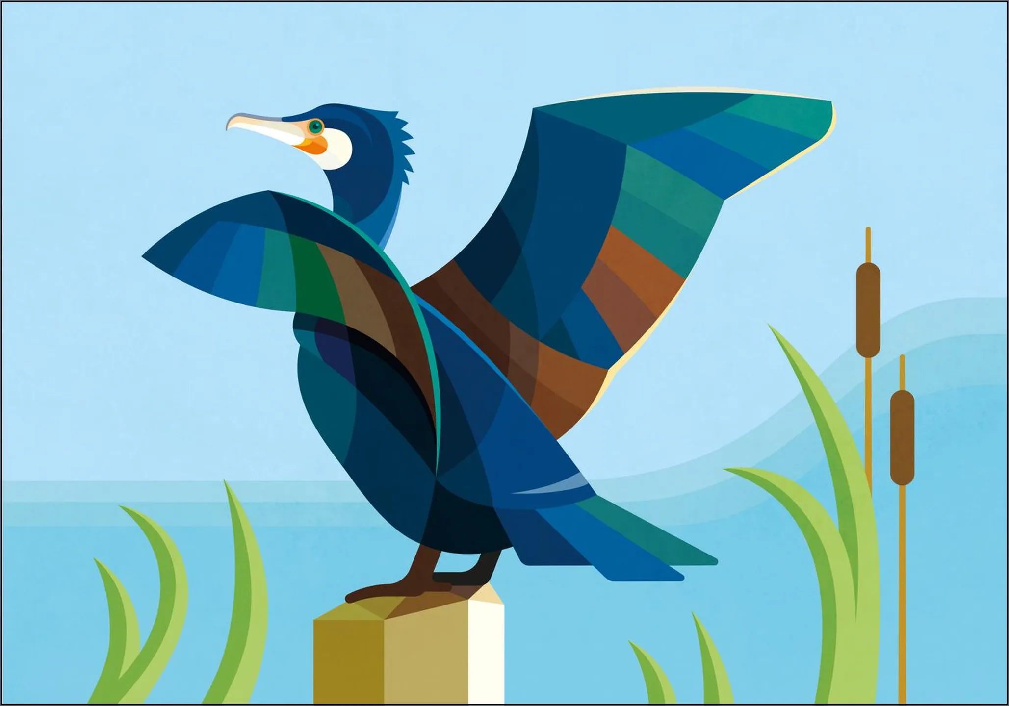 Cormorant