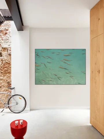 Fishing In China