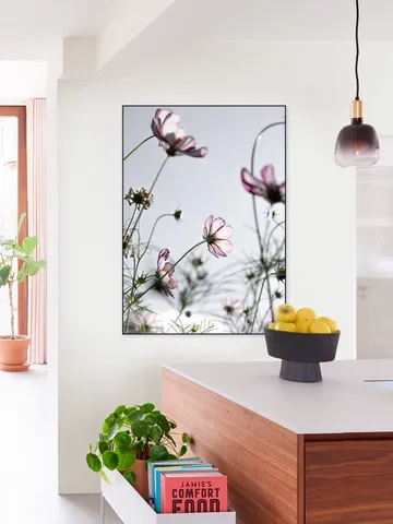 Wild Flowers