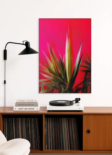 Magenta and Green