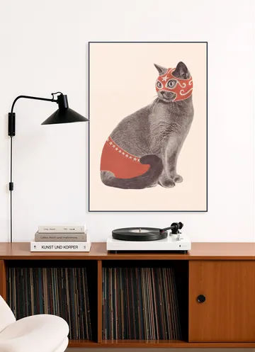 Chat Catcheur