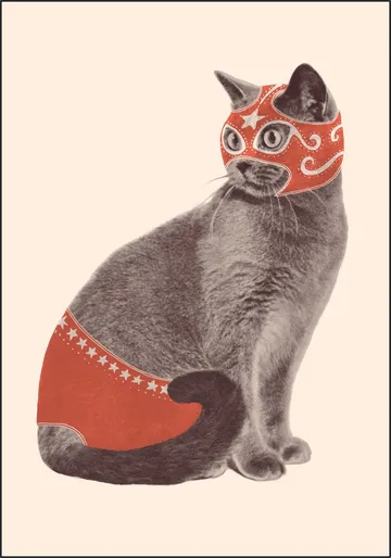 Chat Catcheur