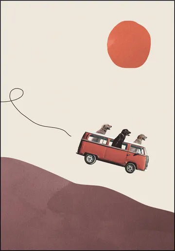 Adventure Gang